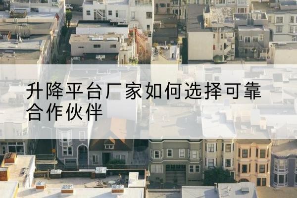 新源升降平台厂家-如何选择可靠合作伙伴
