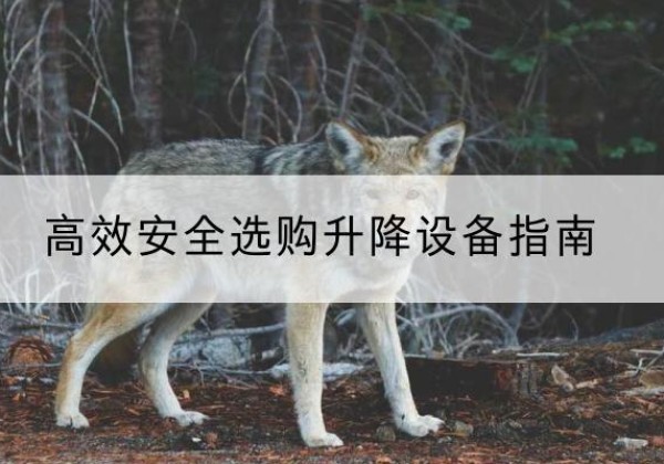 新源升降货梯厂家推荐-*安全选购升降设备指南