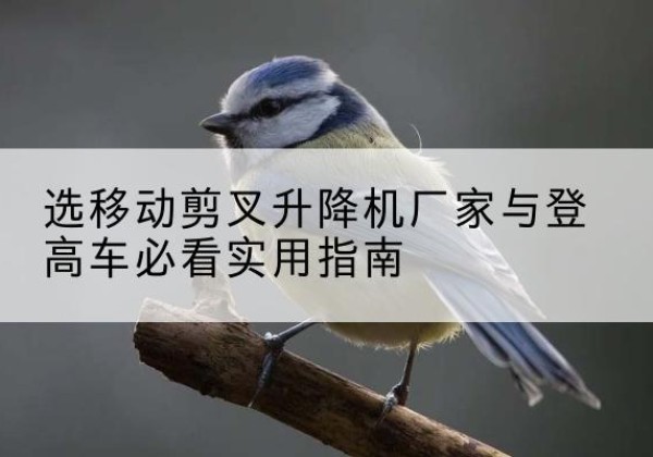 新源电动升降机厂家-选移动剪叉升降机厂家与登高车必看实用指南