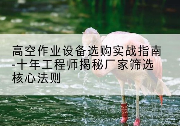 新源剪叉式升降机厂家-高空作业设备选购实战指南-十年工程师揭秘厂家筛选核心法则